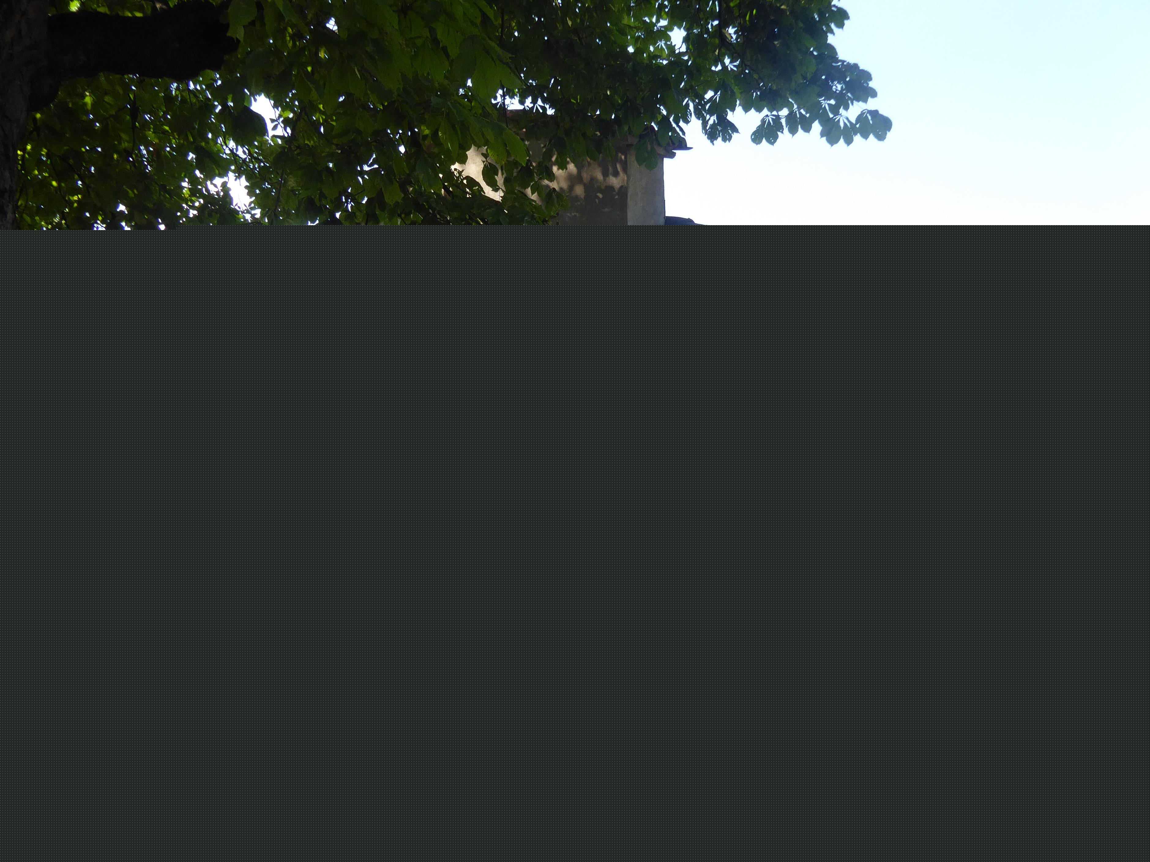 Saint Raymond Nonnatus church